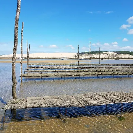 T3 à Arcachon, 3 Min Plage, Terrasse Plein Sud Et Garage Privé - Fr-1-474-257 *