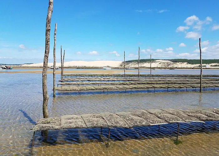 T3 A Arcachon, 3 Min Plage, Terrasse Plein Sud Et Garage Prive - Fr-1-474-257 *